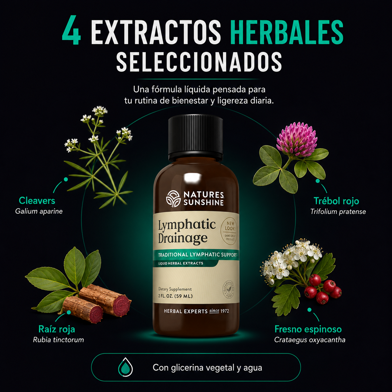 Lymphatic Drainage | Gotas Herbales para Ligereza, Equilibrio y Bienestar Diario